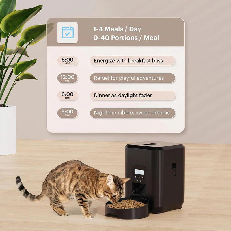 Alimentador Automático para Pets Yfeeder - Programável com Dosagem e Timer